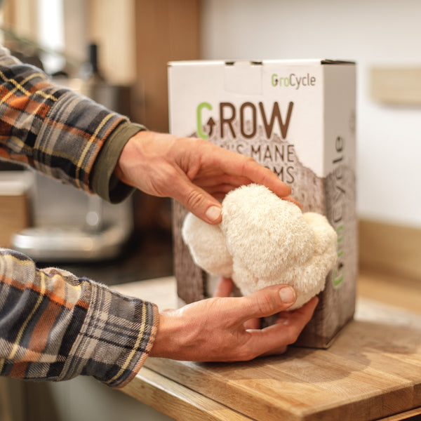 GroCycle Lion's Mane Mushroom Grow Kit